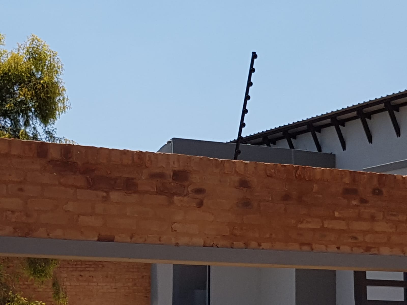 WhatsApp Image 2022-11-10 at 17.51.47